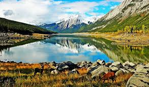 HAKKARİ-ŞIRNAK-CİZRE-YÜKSEKOVA-VANADOKYA